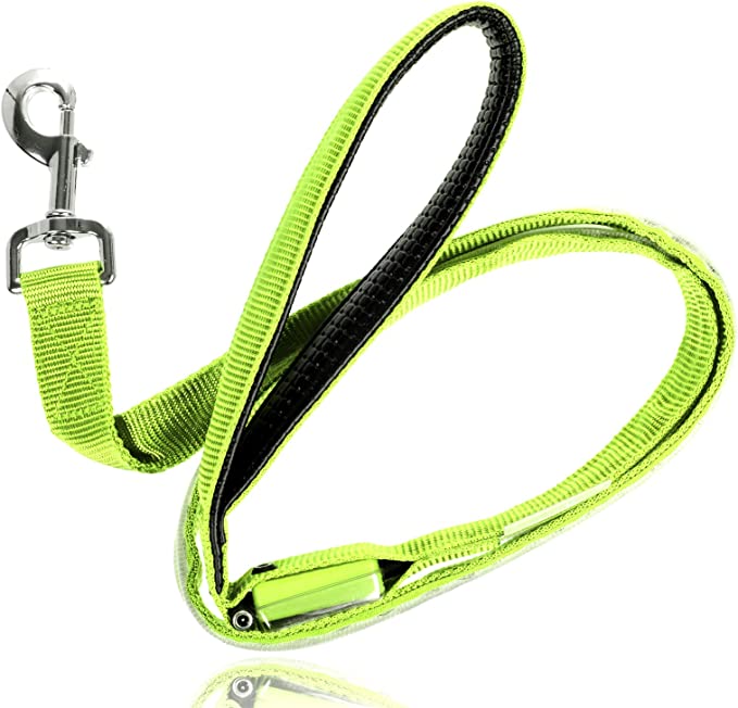 Stylish Illuminated Dog Lead - Tim Ecommerce Specialist