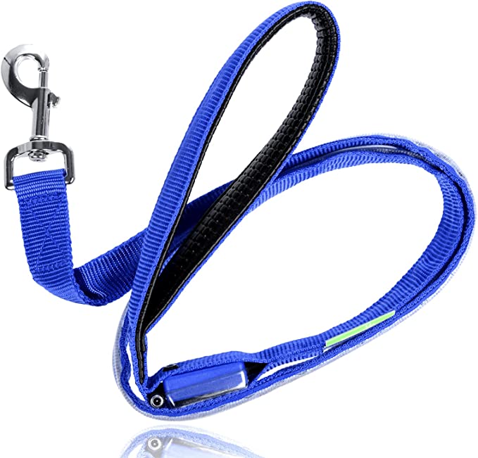 Stylish Illuminated Dog Lead - Tim Ecommerce Specialist