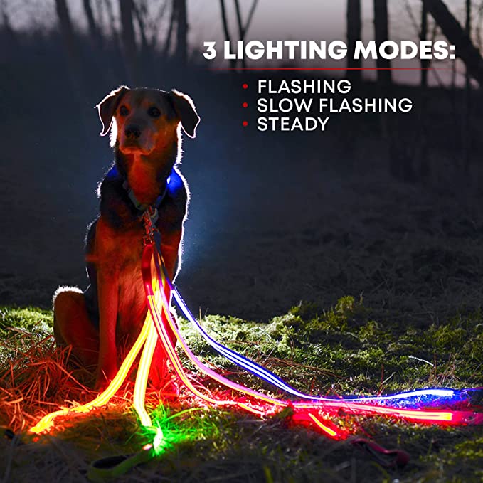 Stylish Illuminated Dog Lead - Tim Ecommerce Specialist