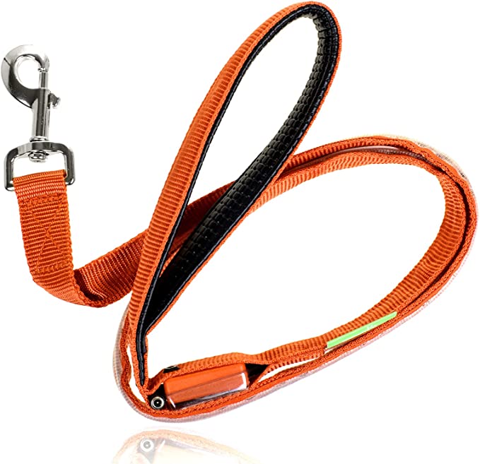 Stylish Illuminated Dog Lead - Tim Ecommerce Specialist